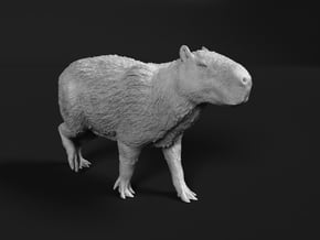 Capybara 1:22 Walking Male in White Natural Versatile Plastic