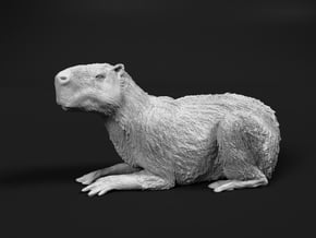 Capybara 1:22 Lying Female in White Natural Versatile Plastic