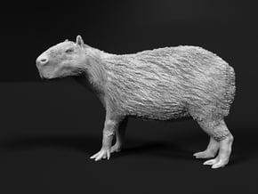 Capybara 1:20 Standing Female in White Natural Versatile Plastic