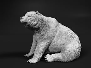 Grizzly Bear 1:20 Sitting Male in White Natural Versatile Plastic