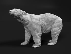 Polar Bear 1:48 Large Male in Smooth Fine Detail Plastic