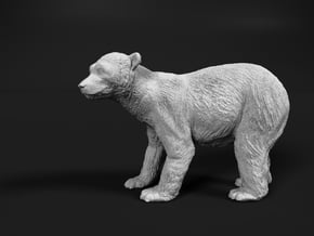 Polar Bear 1:25 Standing Juvenile in White Natural Versatile Plastic