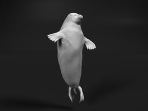 Ringed Seal 1:6 Head above the water in White Natural Versatile Plastic