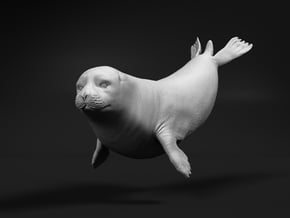 Ringed Seal 1:6 Swimming in White Natural Versatile Plastic