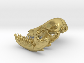 fruitafossor (mammal skull and mandible) in Natural Brass