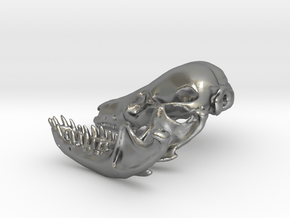 fruitafossor (mammal skull and mandible) in Natural Silver