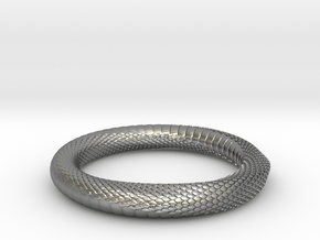 Snake Ring_R05 _ Mobius in Natural Silver: 6 / 51.5