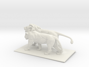 Lion and lionesse in White Natural Versatile Plastic