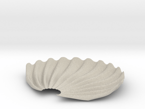 SEASHELL-3d in Natural Sandstone