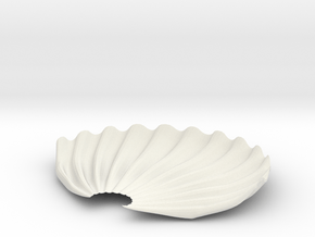 SEASHELL-3d in White Natural Versatile Plastic