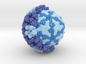 Bluetongue Virus (Large) in Glossy Full Color Sandstone