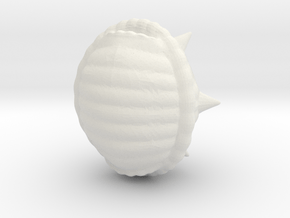 Spikey Shell Big in White Natural Versatile Plastic