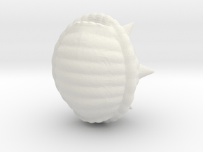 Spikey Shell Small in White Natural Versatile Plastic
