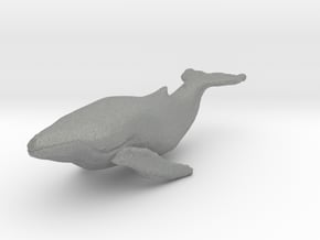 1-300th scale Whale in Gray PA12