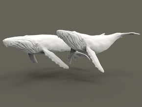 Humpback Whale 1:1000 Set of 2 different pieces in Smooth Fine Detail Plastic
