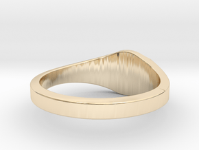 SEAS Signet Small Ring in 14K Yellow Gold: 3 / 44