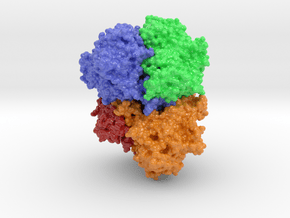 Pyranose Oxidase 4MIH in Glossy Full Color Sandstone: Small