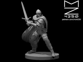 Knight in Smooth Fine Detail Plastic