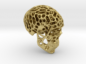 Skull - Reaction Diffusion Sculpture in Natural Brass