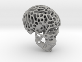 Skull - Reaction Diffusion Sculpture in Aluminum