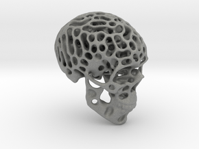 Skull - Reaction Diffusion Sculpture in Gray PA12