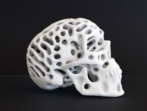 Skull - Reaction Diffusion Sculpture in White Natural Versatile Plastic