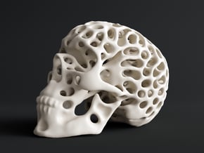 Skull - Reaction Diffusion Sculpture in Natural Sandstone