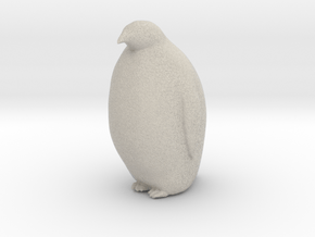Penguin Looking Ahead in Natural Sandstone