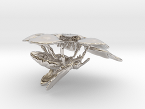 Manuka Flower with Honey Bee  in Rhodium Plated Brass