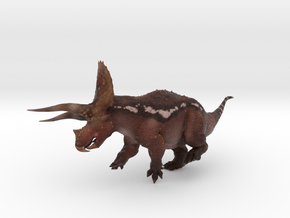 Torosaurus in Natural Full Color Sandstone: Large