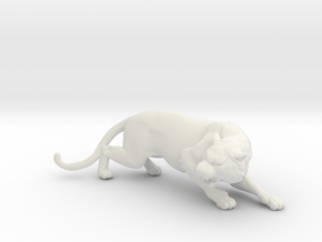 Printle Animal Tiger - 1/24 in White Natural Versatile Plastic