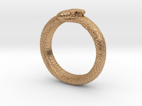 Ouroboros Ring Ver.1 (Size 9) in Polished Bronze