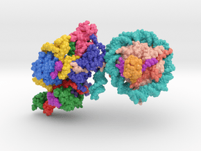 Nucleosome PRC2 6WKR in Glossy Full Color Sandstone: Medium