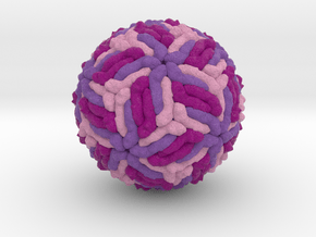Spondweni Virus in Natural Full Color Sandstone