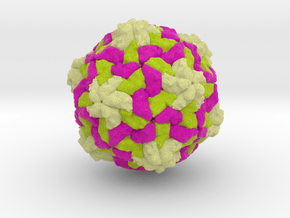 Apple Latent Spherical Virus in Natural Full Color Sandstone