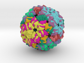 Beihai levi-like Virus in Natural Full Color Sandstone
