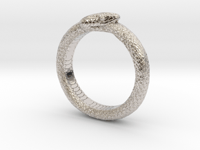 Ouroboros Ring Ver.1 (Size 9) in Rhodium Plated Brass