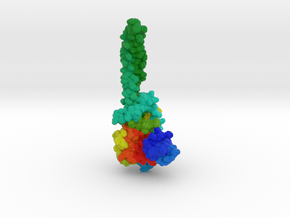 Lysine-Specific Demethylase-1 2H94 in Matte High Definition Full Color: Small