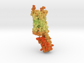 Psilocybin bound to Serotonin Receptor 4ib4 in Matte High Definition Full Color: Small