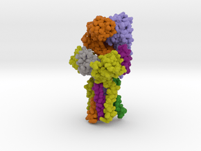 T Cell Receptor CD3 Hexamer Complex 6JXR in Matte High Definition Full Color: Small