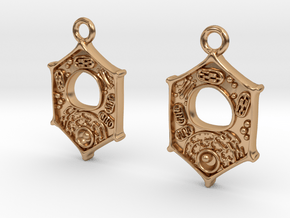 Plant Cell Earrings - Science Jewelry in Polished Bronze
