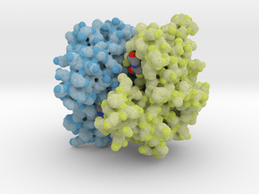 Glutathione S-tranferase 1U3I in Matte High Definition Full Color: Small
