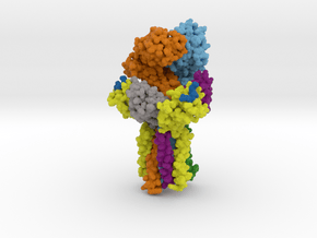 T cell receptor CD3 Complex 6JXR in Matte High Definition Full Color: Medium