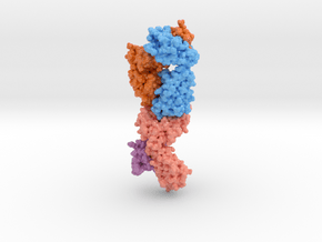 T-cell Receptor in Complex with HLA-A1 5BRZ in Glossy Full Color Sandstone: Medium