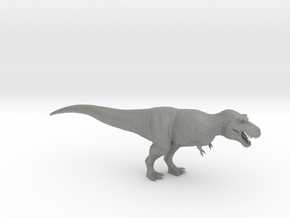 Tyrannosaurus rex 1/80 in Gray PA12