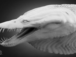 Nothosaurus in White Natural Versatile Plastic