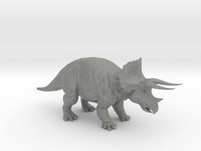 Triceratops_Horridus 1/60 in Gray PA12