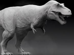 Tyrannosaurus rex (Scotty) 1/40 in White Natural Versatile Plastic