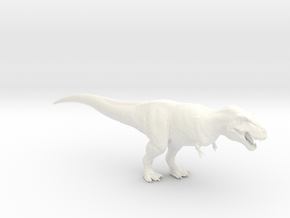 Tyrannosaurus rex (Scotty) 1/40 in White Smooth Versatile Plastic
