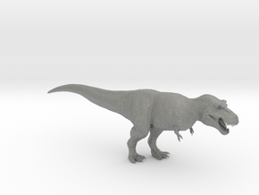 Tyrannosaurus rex (Scotty) 1/40 in Gray PA12